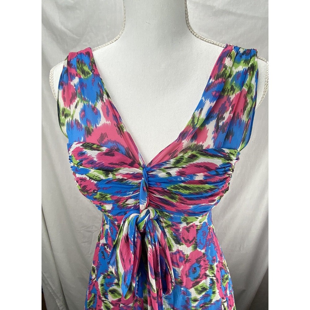 Donna Rico New York Silk Lined Fit Flare Dress Size 4 Silk Slip